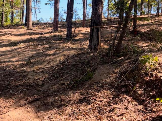 Land for sale in Clanton, Chilton County