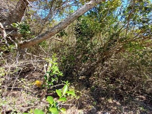Land for sale in Bushmans River Mouth, Eastern Cape