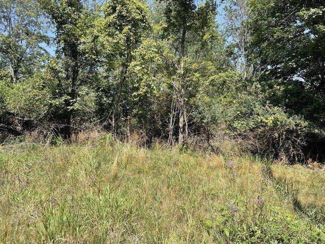 Land for sale in Fennville, Michigan