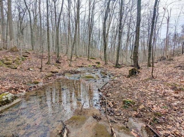 Land for sale in Bruceton Mills, West Virginia