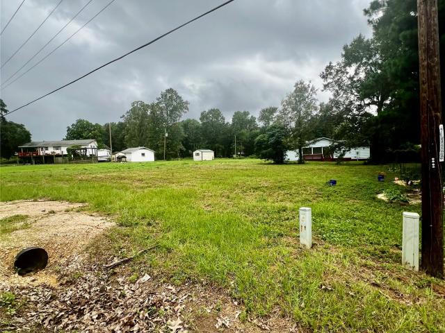 Land for sale in Polk, Texas