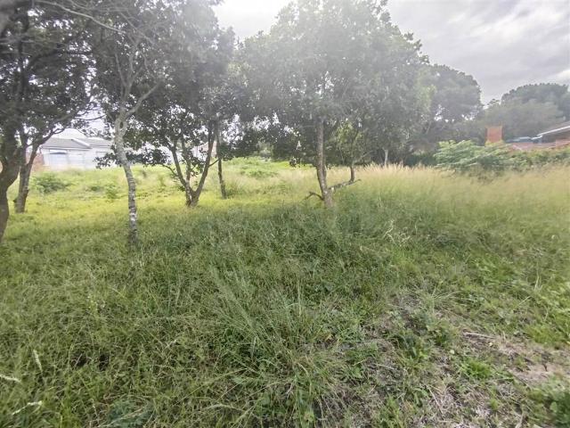 Land for sale in Bushmans River Mouth, Eastern Cape