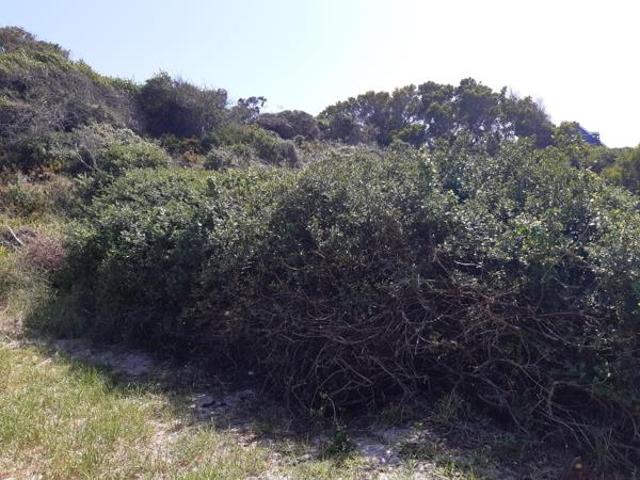 Land for sale in Cape St Francis, Eastern Cape