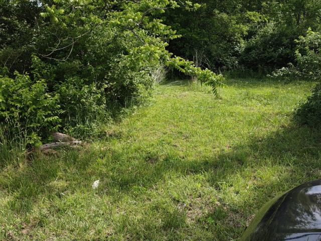 Land for sale in Tennessee