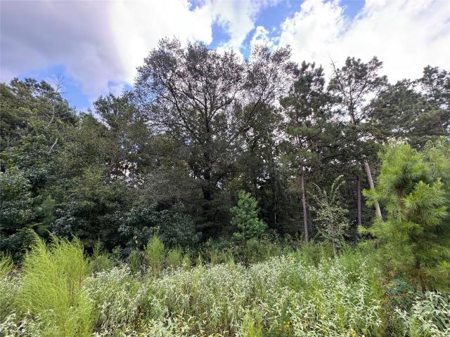 Land for sale in Walker, Texas