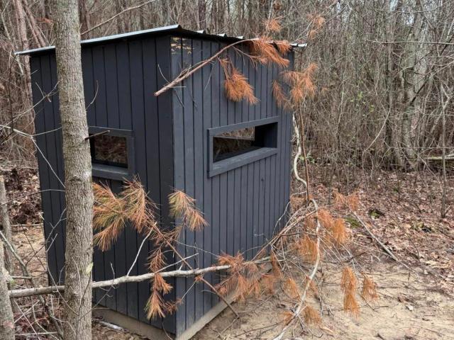 Land for sale in Collinsville, Alabama