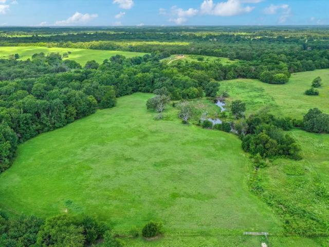 Land for sale in Grand Saline, Texas