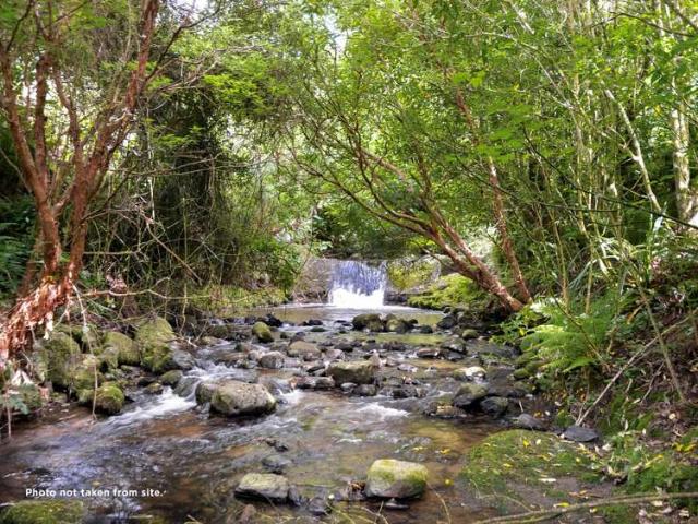 Land for sale in Otakou