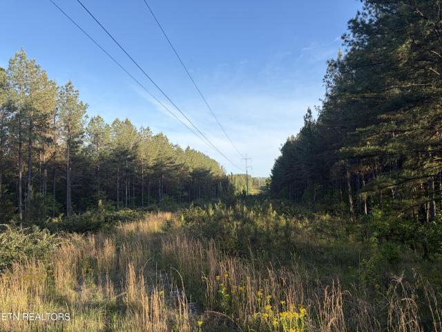 Farm for sale in Tennessee