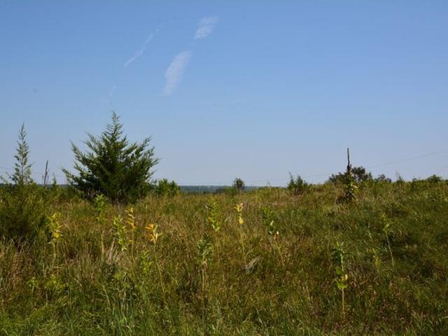 Land for sale in Kansas