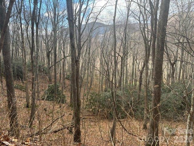 Land for sale in Haywood, North Carolina