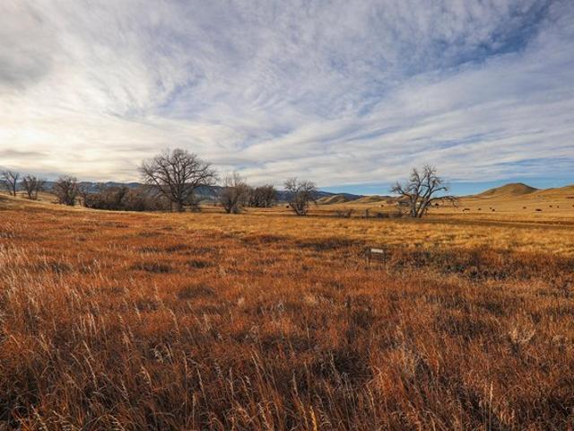 Land for sale in Wyoming