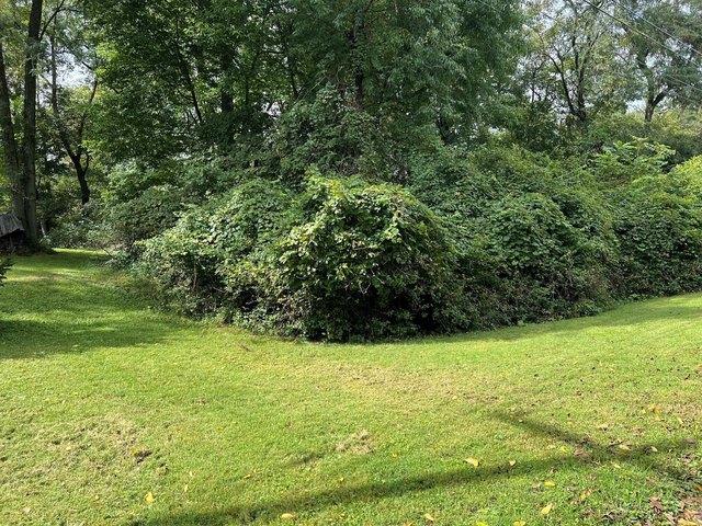 Land for sale in Delaware, Delaware County