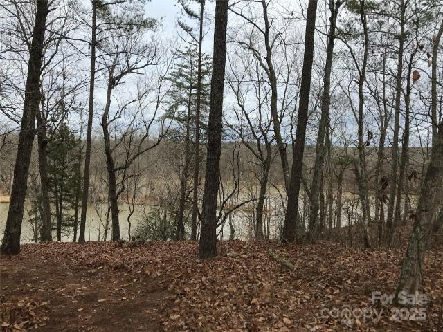 Land for sale in Lilesville, Anson County