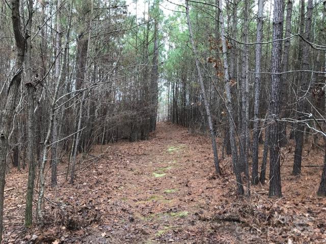 Land for sale in Lilesville, North Carolina