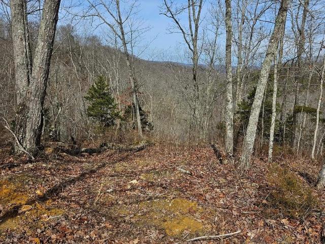Farm for sale in Desda, Albany