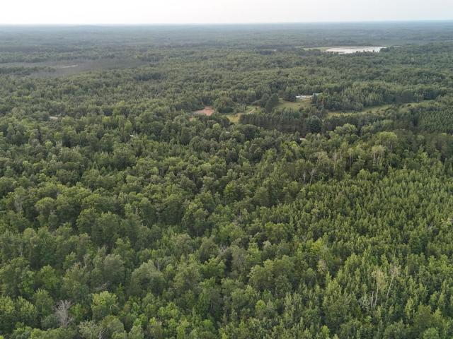 Land for sale in Ogema Township, Pine County