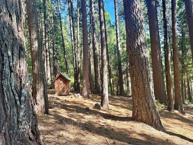 Land for sale in Sierra City, California
