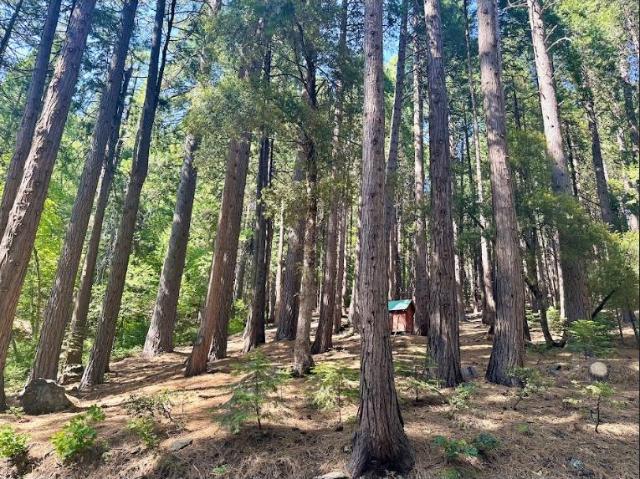 Property for sale in Sierra City, California