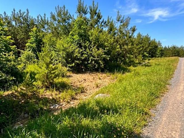 Land for sale in Broken Bow, Oklahoma