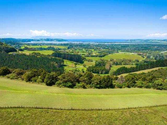 Property for sale in Matakana