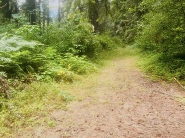 Land for sale in Roy, Washington