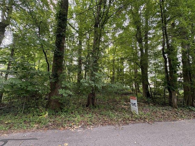 Land for sale in Coloma, Michigan