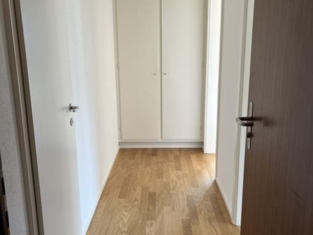 Apartment mieten in Ronco sopra Ascona, Tessin