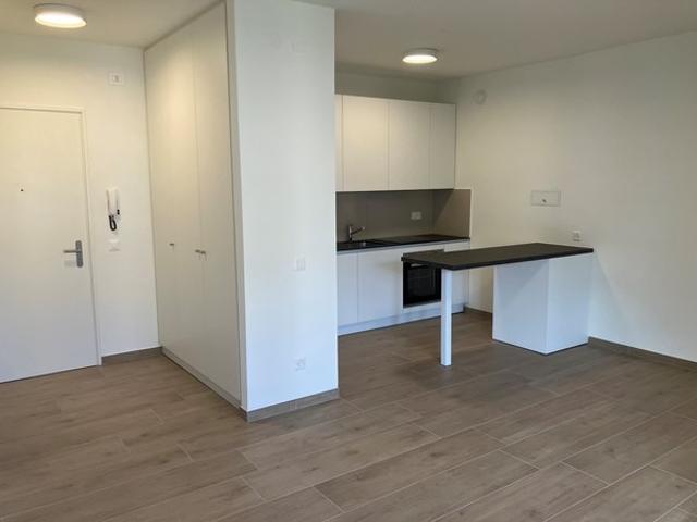 Apartment mieten in Knonau, Zürich