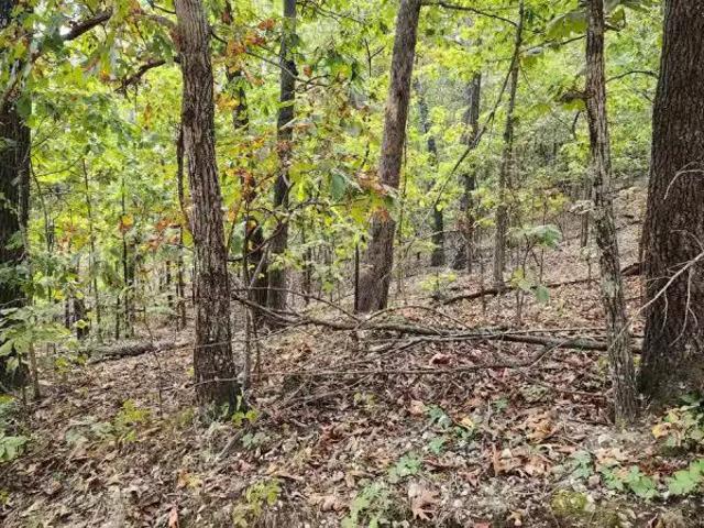 House for rent in Ark