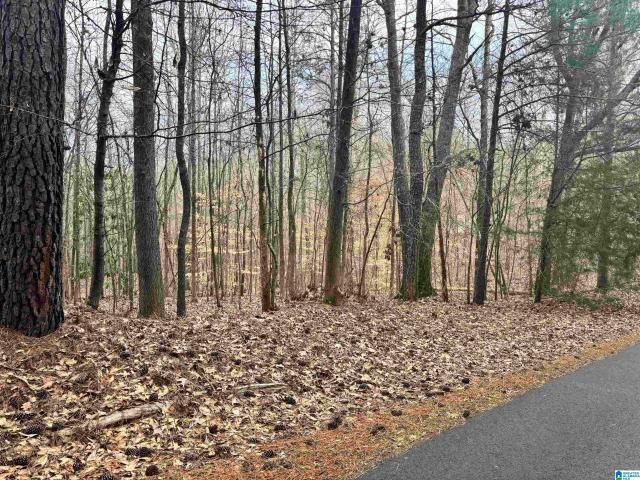 Land for sale in Dora, Alabama