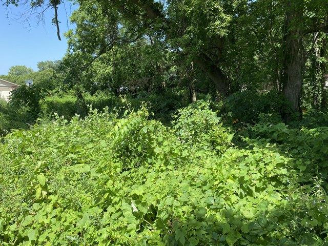 Land for sale in Edwardsburg, Michigan