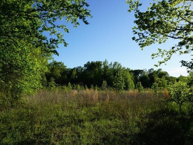Land for sale in Henderson, Texas