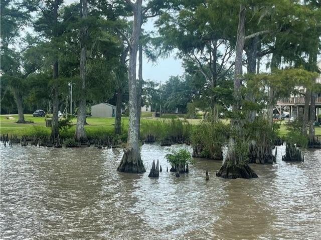 Land for sale in Gueydan, Louisiana