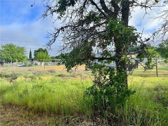 Land for sale in Lake, California