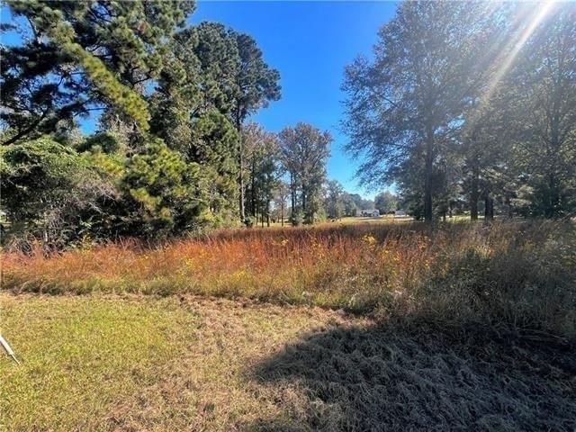 Land for sale in Ball, Louisiana