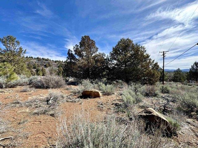 Land for sale in Susanville, Lassen County