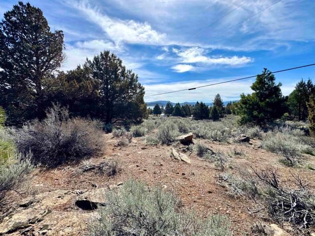 Land for sale in Susanville, California