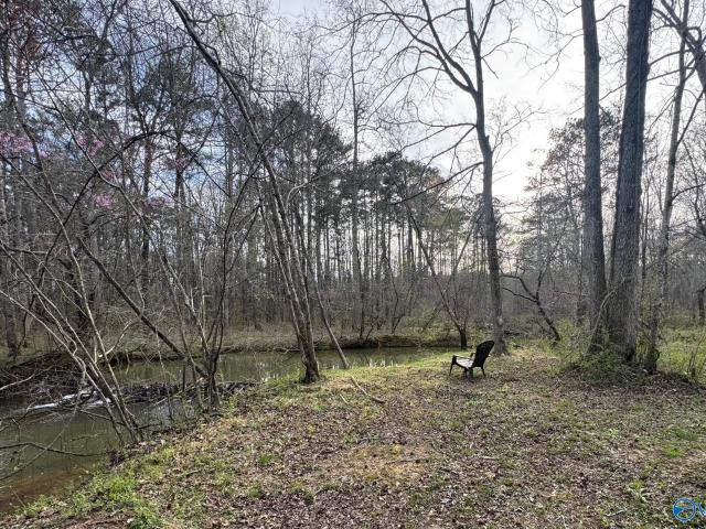 House for sale in Leesburg, Alabama