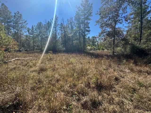 House for sale in Lufkin, Angelina County