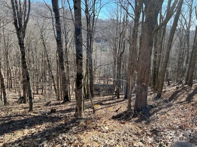 Land for sale in Mars Hill, North Carolina