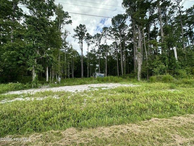 Land for sale in Oriental, North Carolina