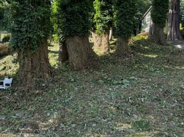 Land for sale in Stanwood