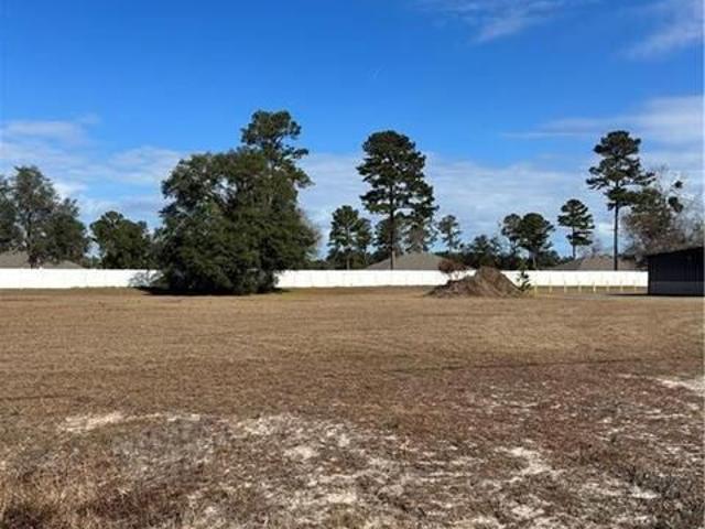 Land for sale in Georgia