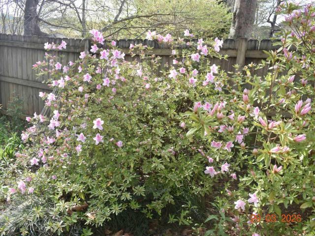 House for sale in Leeds, Alabama