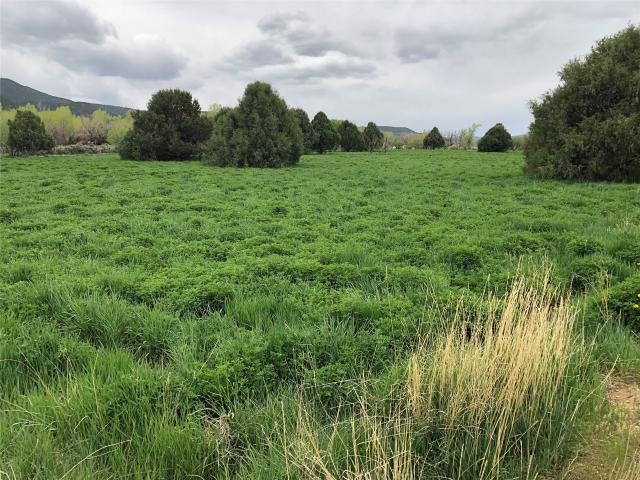 Land for sale in El Prado, New Mexico