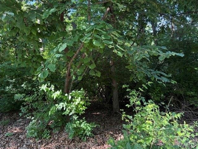 Land for sale in Ballwin, Missouri