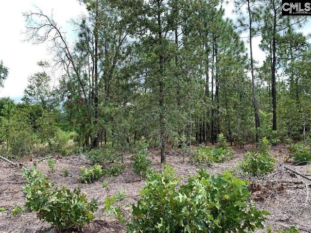 Commercial for sale in Aiken, South Carolina