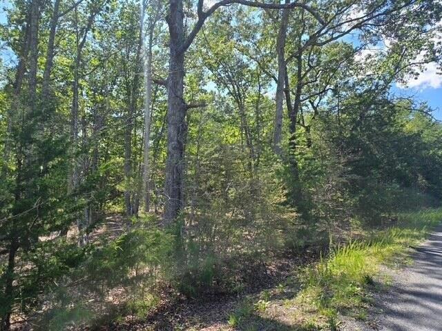 Land for sale in Virginia
