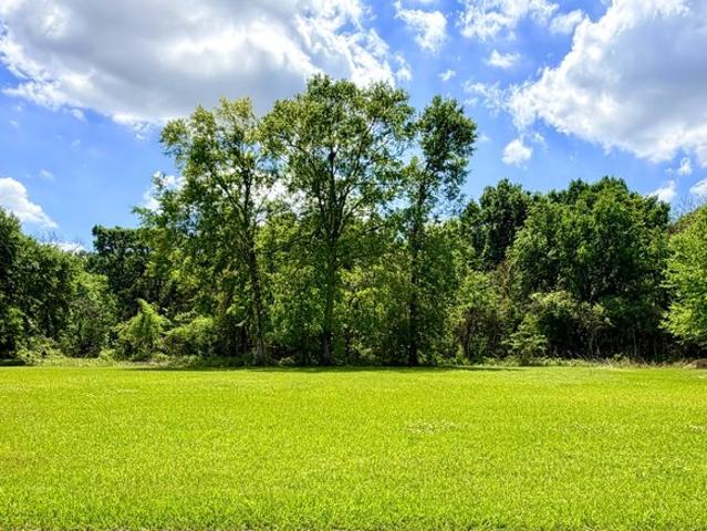 Land for sale in Berwick, Louisiana